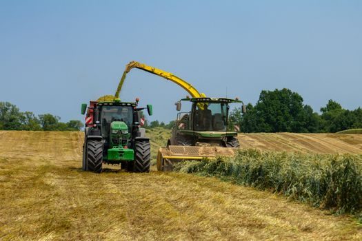 Cut-Off Machine selection for landscaping - Real Use Cases Across a Landscape Season
