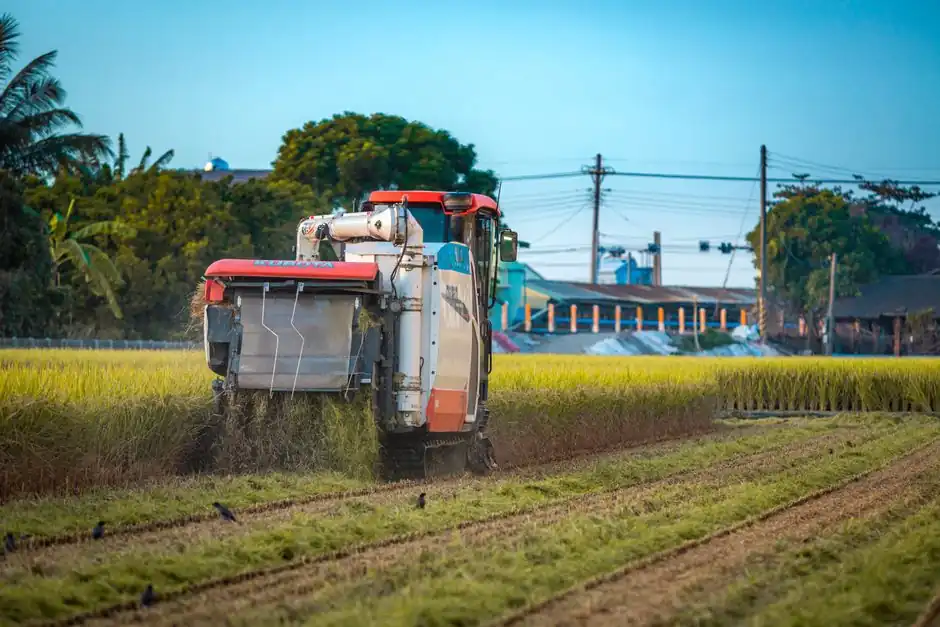 Lost Foam Casting Line Selection for Agricultural Machinery: A Spec Map