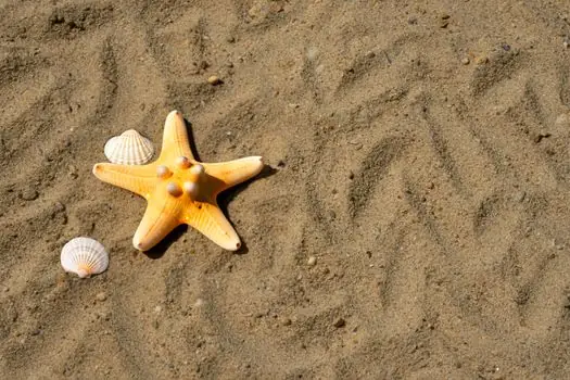 Lost Foam Casting Line selection for lighting fixtures - Defect Control: Comparing Lost Foam Against Sand and Shell