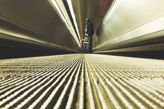 Mesh Belt Conveyor selection for retail distribution - Side-by-Side Comparison: Mesh, Flat, and Modular Belts