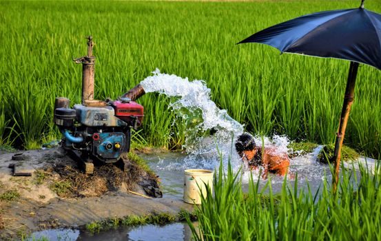 Metering Pump vs Submersible Pump - Materials, Media, and Maintenance Posture