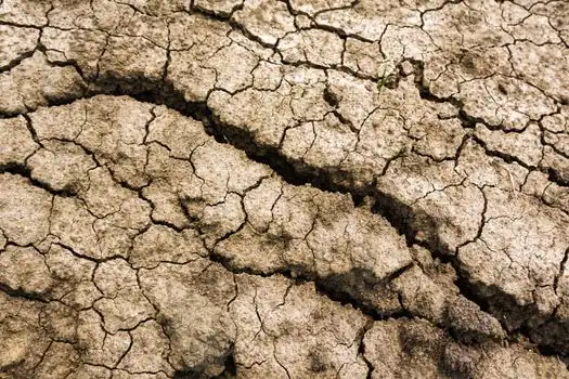 Moisture Analyzer vs Conductivity Meter - Decision Matrix: Options Against Concrete Criteria