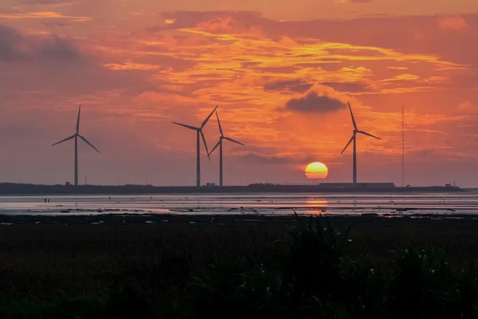 Offshore Wind Foundation Race: Monopile, Jacket, Floating Compared for 2026