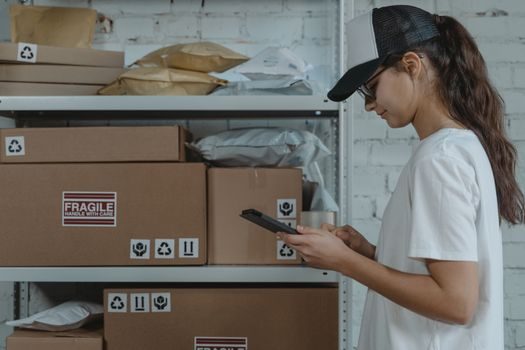 Overhead Conveyor selection for retail distribution - Integration with retail DC sortation and storage