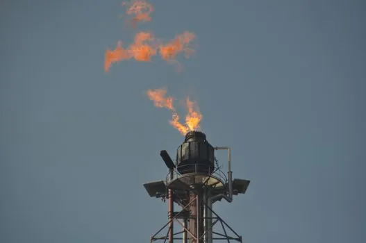 petrochemical production capacity planning - Sourcing, standards, and the audit trail