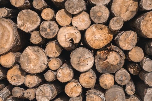 photoelectric sensor vs limit switch for data logging - Decision Matrix: When to Pick Each Sensor for a Logging Channel