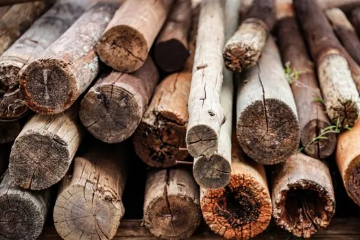 Pile Driver selection for forestry - Comparison: three forestry pile-driver classes on five criteria
