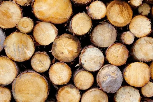 Pile Driver selection for forestry - Hammer and post-pounder spec envelope