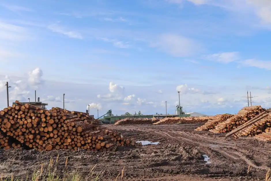 Pile driver selection for forestry: compact carrier class and hammer spec map
