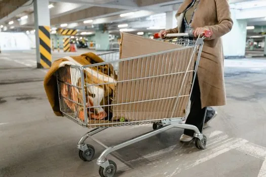 Platform Trolley selection for retail distribution - Caster Diameter, Tread, and Braking for 5-8 in Wheels