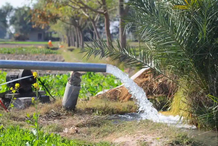 Plunger pump advantages, disadvantages, and the spec gates that decide the job