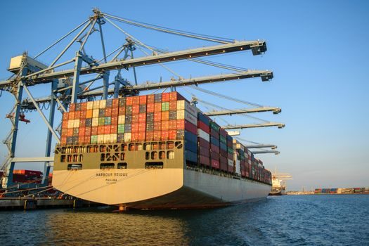 Road Roller selection for port and terminal operations - Drum configuration: single, tandem, or combo
