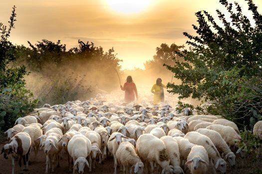 rock wool panel selection guide - Production Capacity and Lead Time Signals (2025–2026)