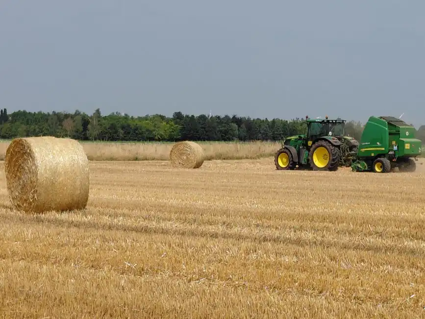 Roller bearing selection for ag machinery: 2026 spec map