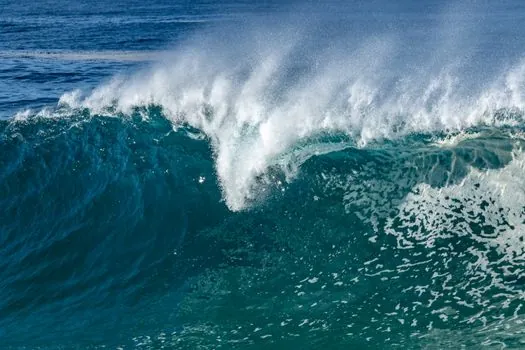 Roller Bearing selection for marine - Materials, cages, seals, and lubricants that survive saltwater