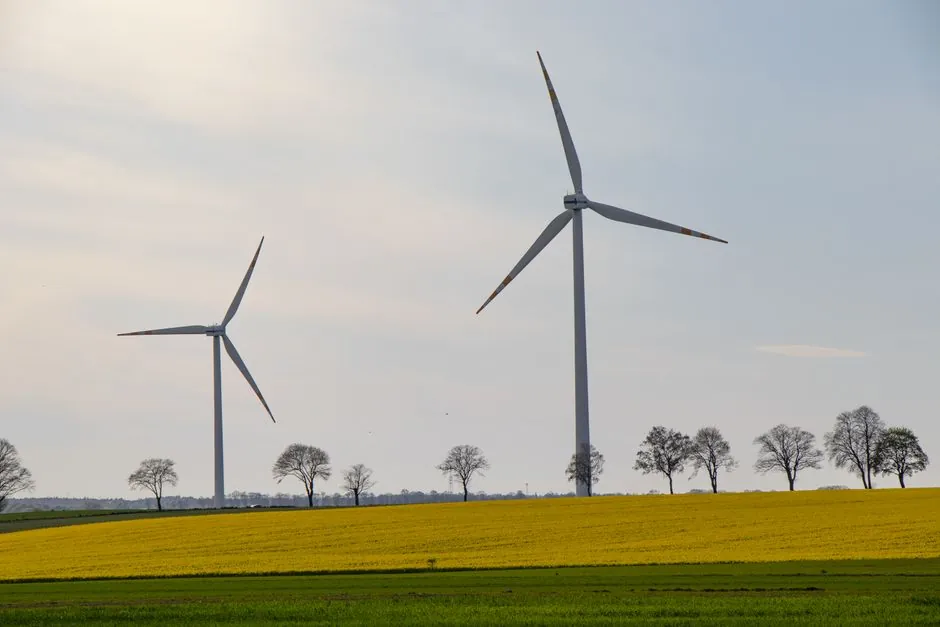 Roller bearing selection for wind power: load, life, and lube gates
