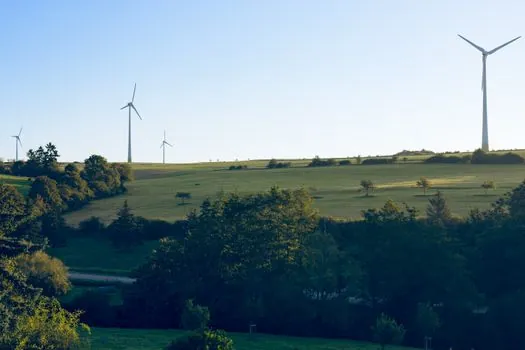 Roller Bearing selection for wind power - Failure modes and condition-monitoring signals