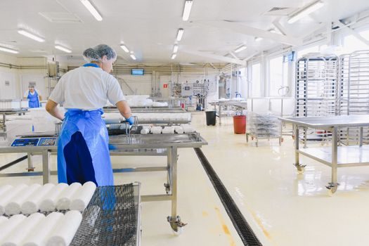 Roller Conveyor selection for food and beverage - Washdown Rating, IP Code, and Zone Layout