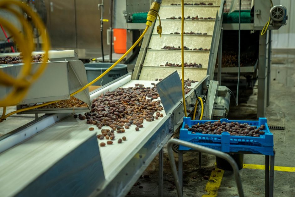 Roller Conveyor Spec Map for Warehouse Automation: Drive, Load, and Throughput