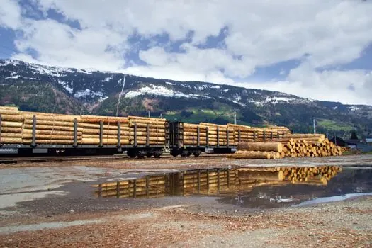 Safety Mat selection for oil and gas facilities - Ground Protection: Timber Mats vs. Composite Mats for Heavy Traffic