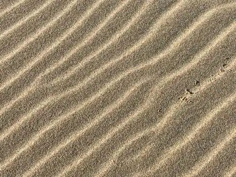 Sand Reclamation Unit selection for lighting fixtures - Sand and Binder Chemistry for LED Hardscape Castings