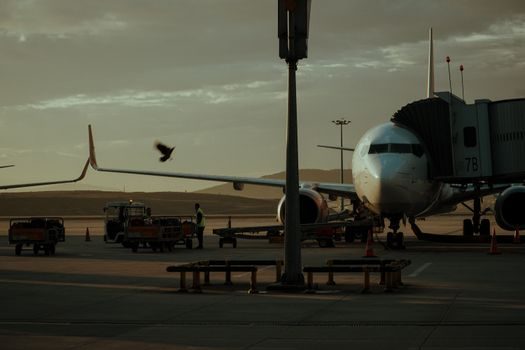 Screw Conveyor selection for air cargo - Comparison: shafted vs shaftless, and the pneumatic alternative