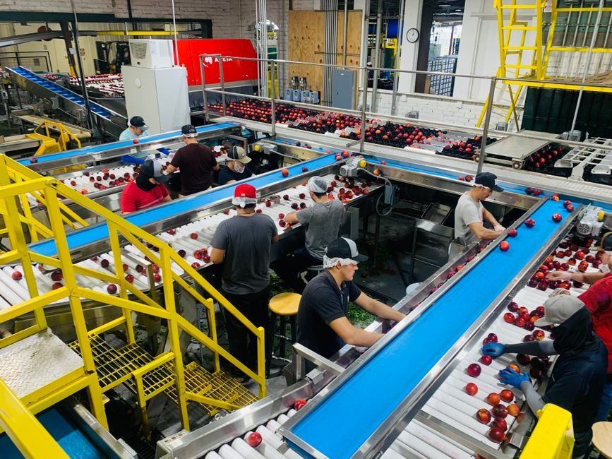 Screw Conveyor Selection for Apparel Distribution: Spec Map
