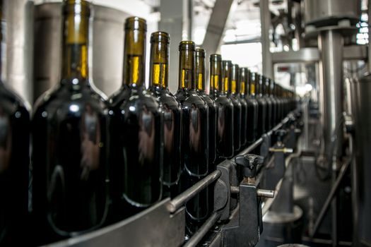 Screw Conveyor selection for food and beverage - Use cases by sub-industry