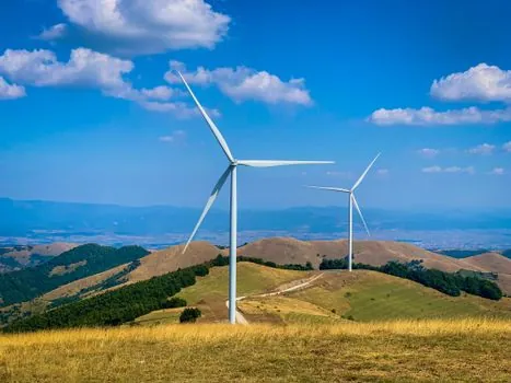 Self-Aligning Bearing selection for wind power - Cage, Clearance, Lubrication, and Sealing