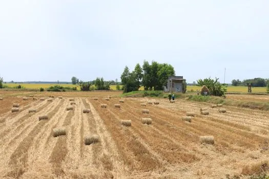Shell Core Shooter selection for agriculture machinery - Comparison: horizontal vs vertical vs roll-over for 5–20 kg farm parts