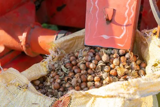 Shell Core Shooter selection for agriculture machinery - Heating, controls, and energy profile