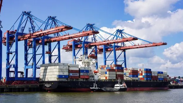 Shrink Wrapping Machine selection for port logistics - Failure Modes and Operating Limits