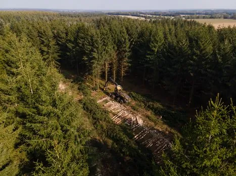 Single Girder Crane selection for forestry - Standards, Sourcing, and What to Ask the Supplier