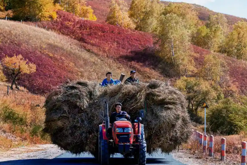 Slewing Drive Selection for Agriculture Machinery: Size, Torque, and Sealing Map