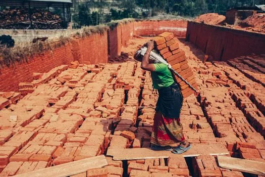 Fired Clay Brick selection for commercial buildings - Solid, hollow, or perforated: geometry decides the load path