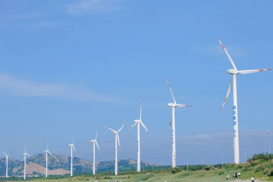 Spherical Plain Bearing Selection for Wind Power: Spec-First Criteria and Failure Modes