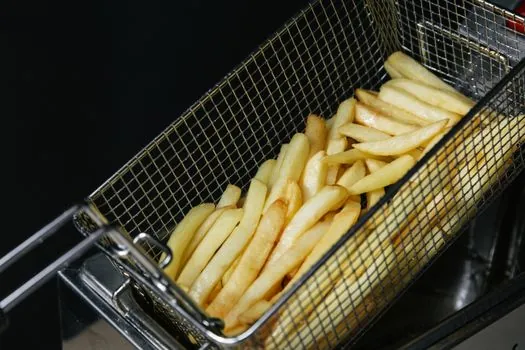Sprinkler System selection for food processing - Fryer Lines, Cooking Oil, and the Wet Chemical vs Water Mist Decision