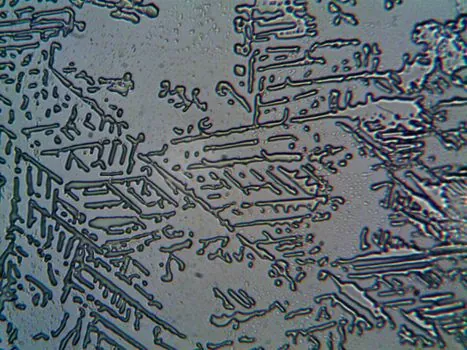 Steel Fiber selection for cleanrooms - Geometry, dosage, and surface finish interactions