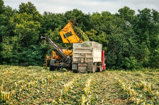 truck scale vs filling scale for operator visibility - Selection Criteria Map