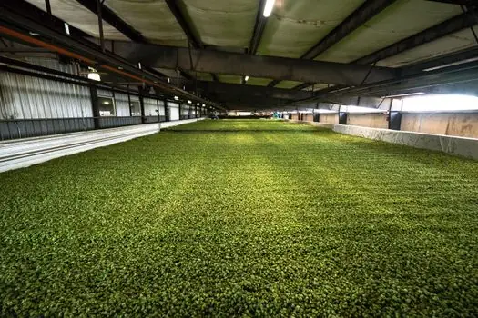 V-Process Vacuum Molding Line selection for agriculture machinery - Power, Footprint, and Integration with Pouring and Shakeout