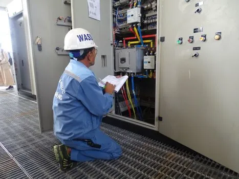 Variable Speed Drive selection for material handling - Standards, Harmonics, and Motor-Drive Coordination