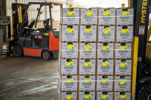 Fall Arrest Harness selection for warehouse operations - Comfort and Throughput: Why It Matters in a Warehouse