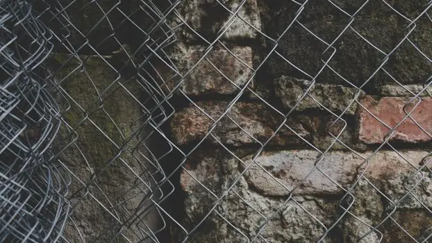 Welded Steel Mesh selection for commercial buildings - Galvanizing and Surface Finish: Where It Pays, Where It Wastes