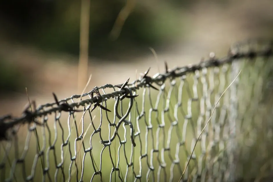 Welded Steel Mesh Selection for Schools: Wire, Opening, Coating, Code