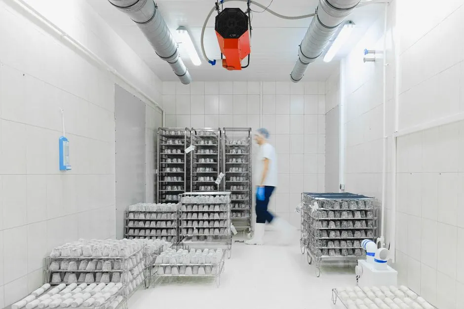 XPS Board Selection for Cold Storage Warehouses: 2026 Spec Map