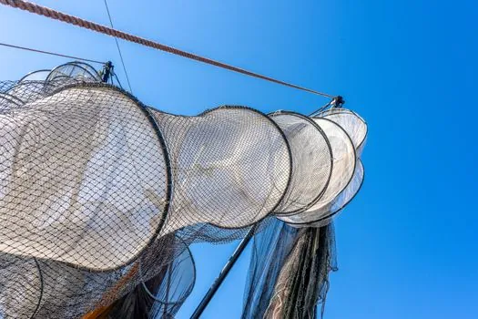 Y-Strainer selection criteria - Comparison: Y-Strainer Versus Basket-Strainer Across Four Criteria