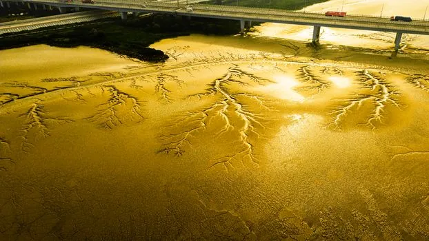 battery electrolyte supply shortage and risk 2026 - Failure modes that travel downstream