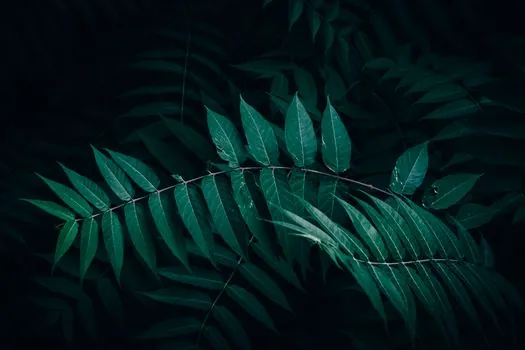5G URLLC latency in real plants vs marketing claims - Selection criteria for a plant engineer