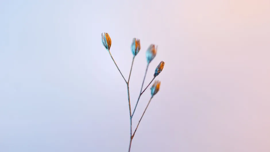 5G URLLC latency in real plants: where the 1 ms claim actually lands