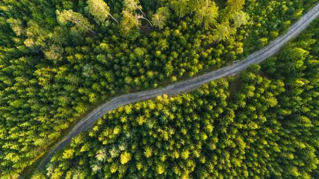 Aerial Work Platform selection for forestry - What a Forestry AWP Procurement Specification Should Lock Down